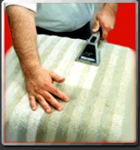 upholstery cleaning northern va