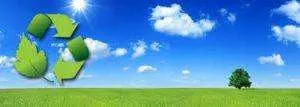 Green Carpet Cleaning VA