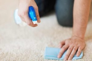 Get the Smell of Vomit Out of Carpet
