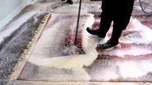 full immersion area rug cleaning Northern VA