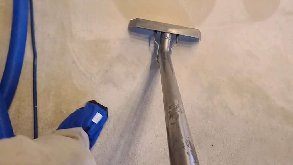 CARPET CLEANING ALEXANDRIA VA APARTMENT