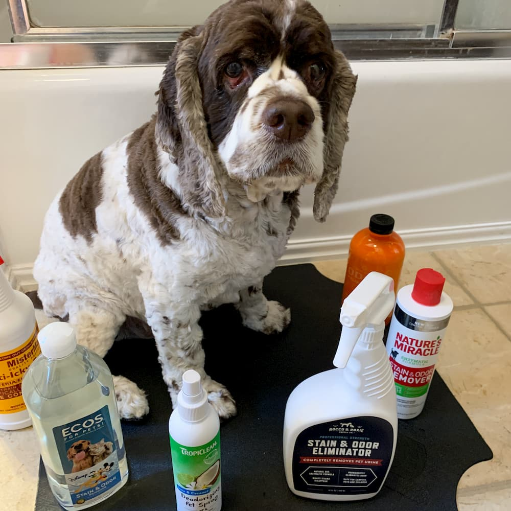 Bissell ProHeat 2X Revolution Pet Pro