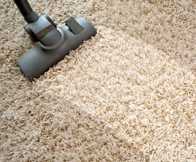 vacuum and clean carpets virginia