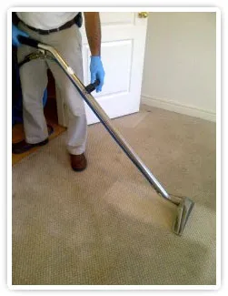 Get Rid Of Wet Carpet Smell Before It Turns To Mold In 4 Days! 5 Cleaning carpets can remove wet carpet smell, pet urine, excess moisture and cigarette smoking odors.