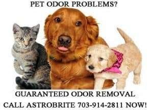 pet odor removal Northern VA