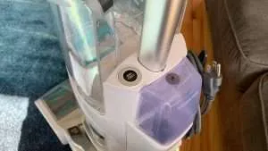 5 Best Carpet Cleaners to Buy 2020