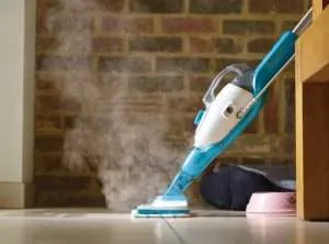 steam cleaner