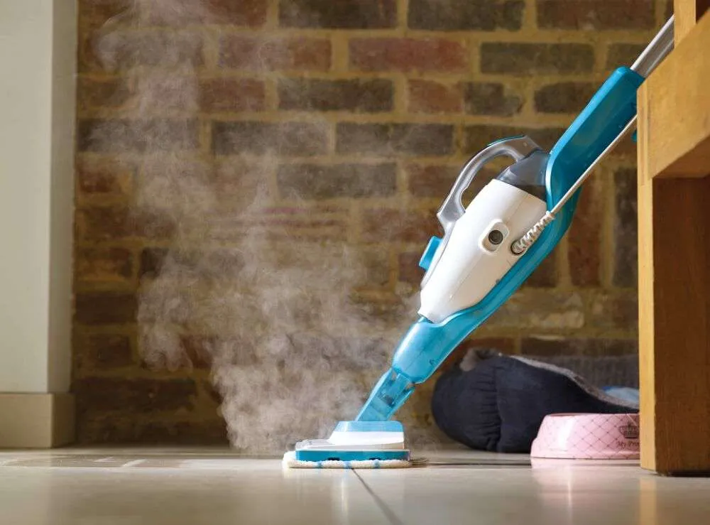 steam cleaner