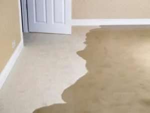 Wet Carpet And Preventing Mold